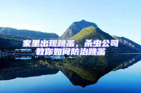 家里出現(xiàn)跳蚤，殺蟲公司教你如何防治跳蚤