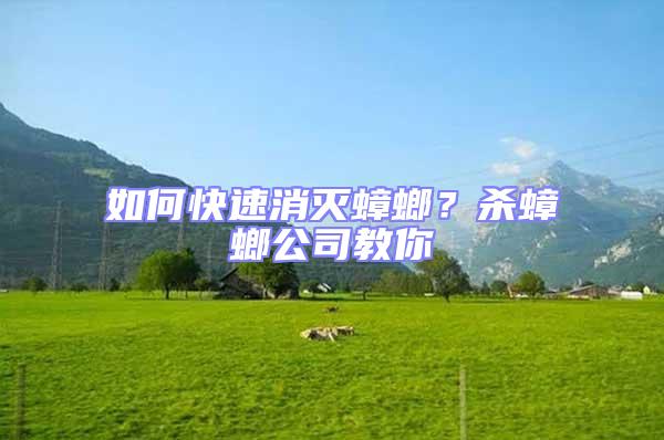 如何快速消滅蟑螂？殺蟑螂公司教你