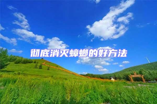 徹底消滅蟑螂的好方法