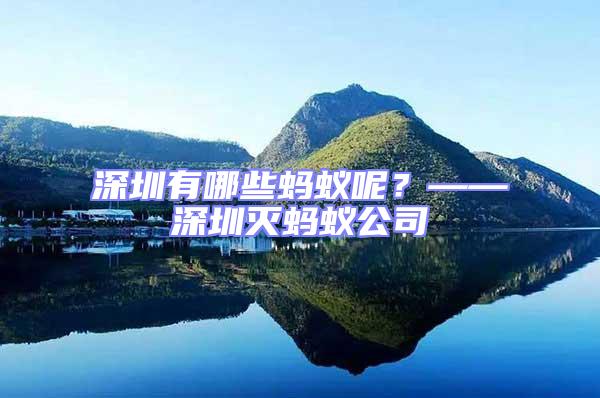 深圳有哪些螞蟻呢？——深圳滅螞蟻公司