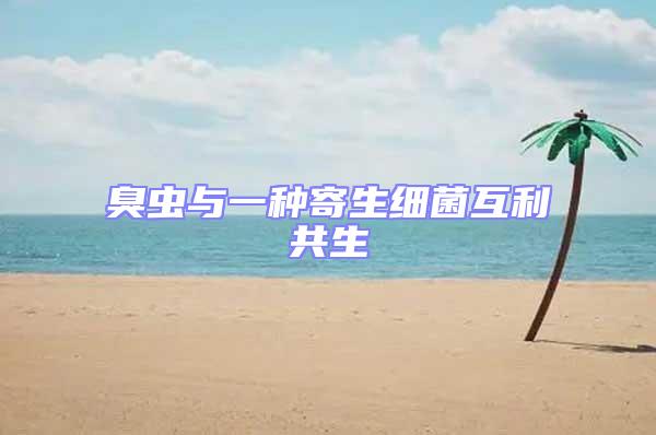 臭蟲與一種寄生細菌互利共生