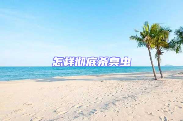 怎樣徹底殺臭蟲