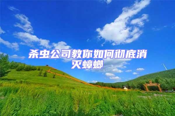 殺蟲公司教你如何徹底消滅蟑螂