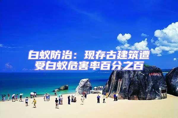 白蟻防治：現存古建筑遭受白蟻危害率百分之百