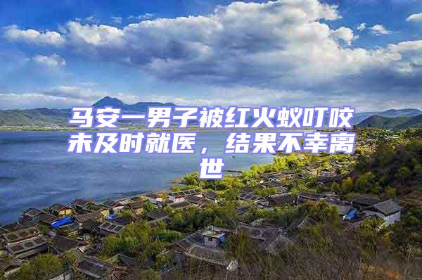 馬安一男子被紅火蟻叮咬未及時就醫(yī)，結(jié)果不幸離世