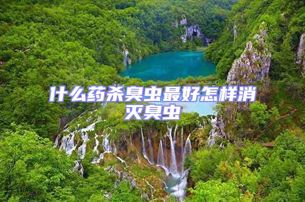 什么藥殺臭蟲最好怎樣消滅臭蟲