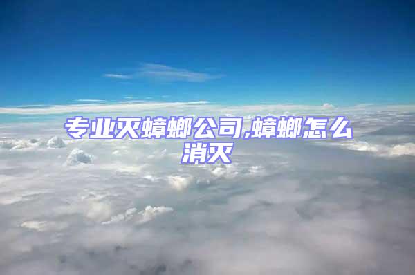 專業滅蟑螂公司,蟑螂怎么消滅