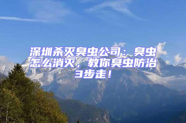 深圳殺滅臭蟲公司：臭蟲怎么消滅，教你臭蟲防治3步走！