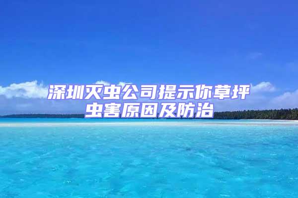 深圳滅蟲公司提示你草坪蟲害原因及防治