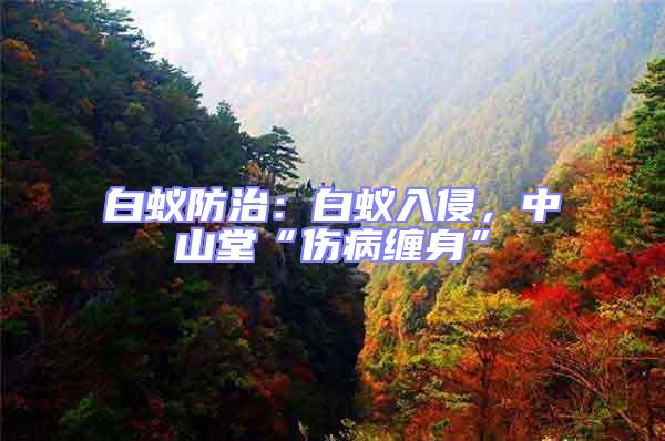 白蟻防治：白蟻入侵，中山堂“傷病纏身”