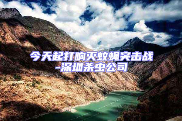 今天起打響滅蚊蠅突擊戰-深圳殺蟲公司