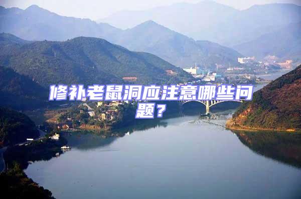 修補老鼠洞應注意哪些問題？