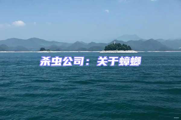 殺蟲公司：關于蟑螂