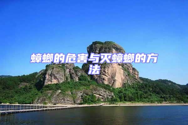蟑螂的危害與滅蟑螂的方法