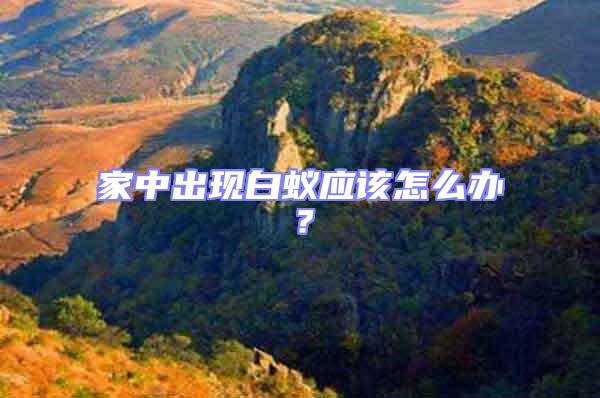 家中出現(xiàn)白蟻應(yīng)該怎么辦？