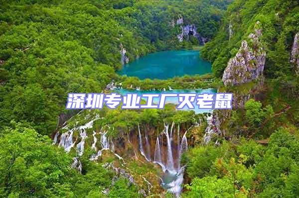 深圳專業(yè)工廠滅老鼠