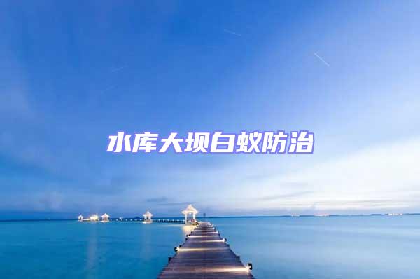 水庫大壩白蟻防治