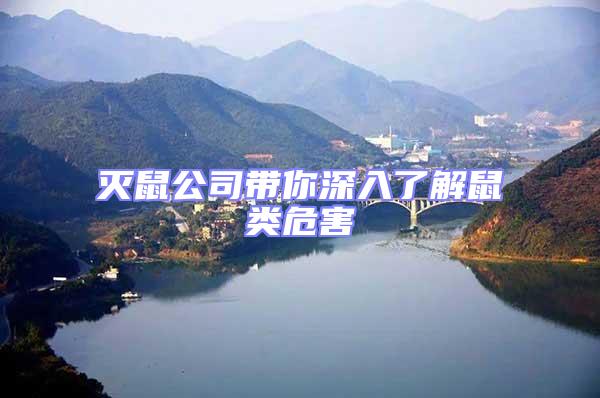 滅鼠公司帶你深入了解鼠類危害