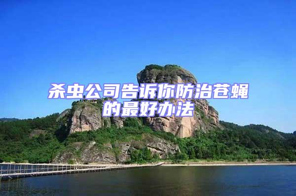 殺蟲公司告訴你防治蒼蠅的最好辦法