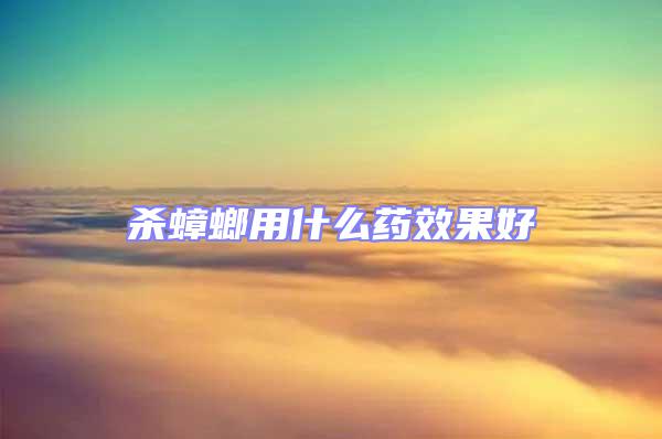 殺蟑螂用什么藥效果好