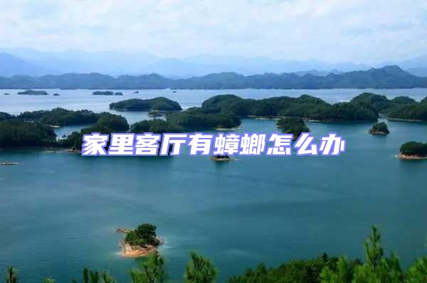 家里客廳有蟑螂怎么辦