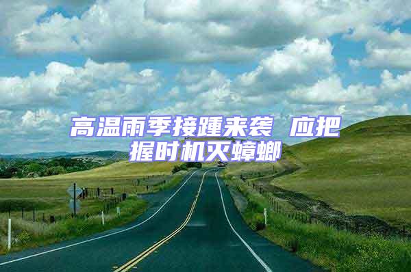 高溫雨季接踵來襲 應把握時機滅蟑螂