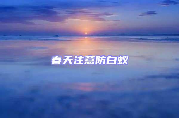 春天注意防白蟻