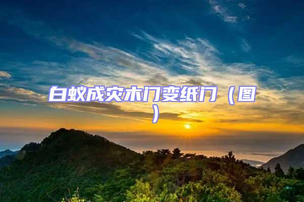 白蟻成災木門變紙門（圖）