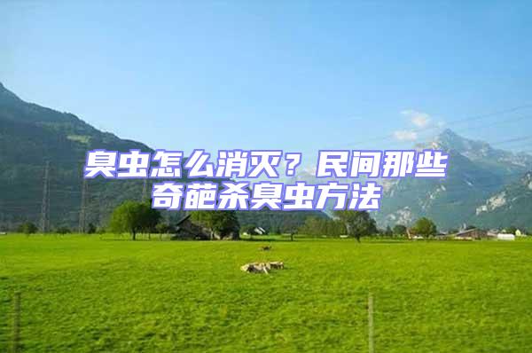 臭蟲怎么消滅？民間那些奇葩殺臭蟲方法