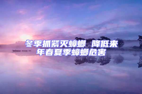 冬季抓緊滅蟑螂 降低來(lái)年春夏季蟑螂危害