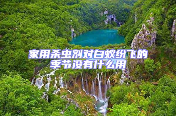 家用殺蟲劑對白蟻紛飛的季節沒有什么用