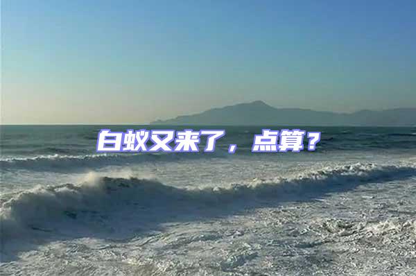 白蟻又來了，點算？