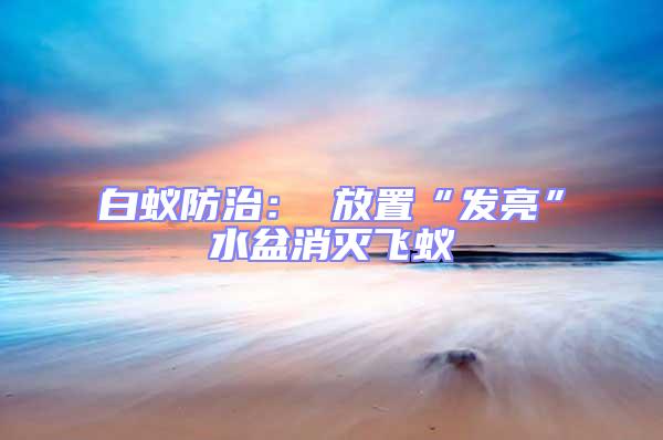 白蟻防治： 放置“發亮”水盆消滅飛蟻