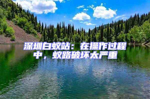 深圳白蟻站：在操作過程中，蟻路破壞太嚴重
