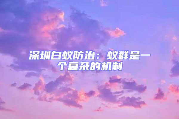 深圳白蟻防治：蟻群是一個復雜的機制