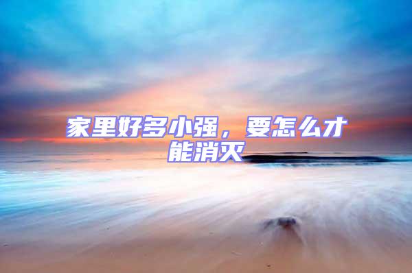 家里好多小強，要怎么才能消滅