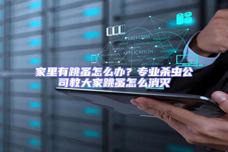 家里有跳蚤怎么辦？專業殺蟲公司教大家跳蚤怎么消滅