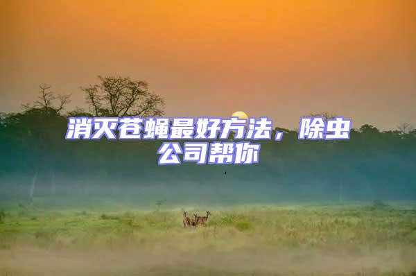 消滅蒼蠅最好方法，除蟲公司幫你