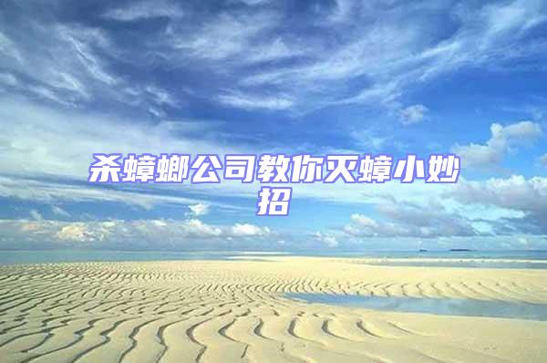 殺蟑螂公司教你滅蟑小妙招
