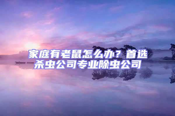 家庭有老鼠怎么辦？首選殺蟲公司專業除蟲公司