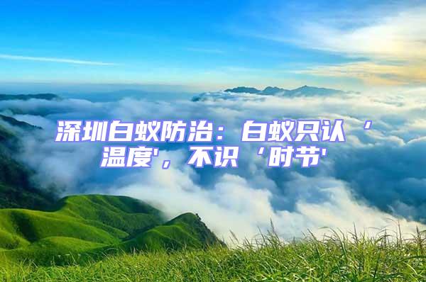 深圳白蟻防治：白蟻只認(rèn)‘溫度'，不識(shí)‘時(shí)節(jié)'