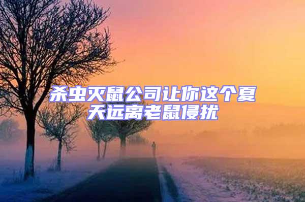 殺蟲滅鼠公司讓你這個夏天遠離老鼠侵擾