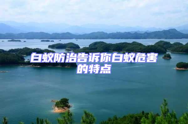 白蟻防治告訴你白蟻危害的特點