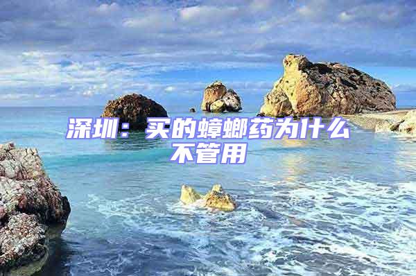 深圳：買的蟑螂藥為什么不管用