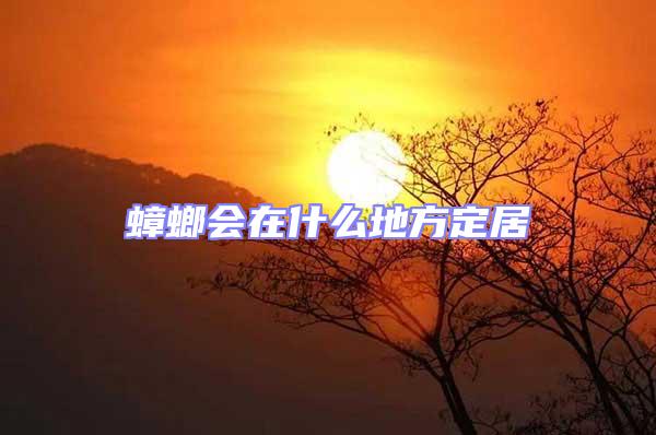 蟑螂會在什么地方定居