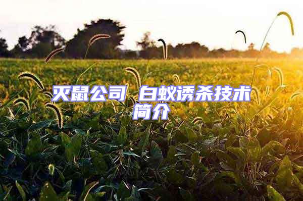 滅鼠公司 白蟻誘殺技術簡介