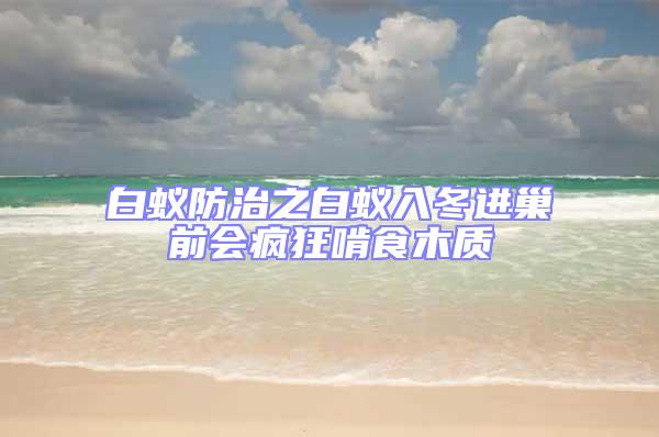 白蟻防治之白蟻入冬進巢前會瘋狂啃食木質