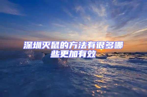 深圳滅鼠的方法有很多哪些更加有效
