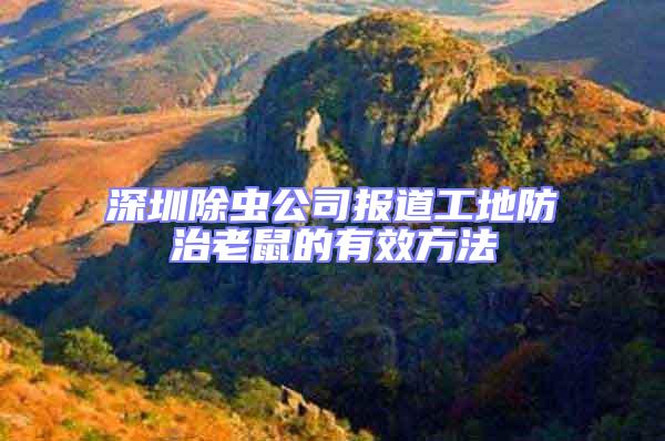 深圳除蟲公司報道工地防治老鼠的有效方法