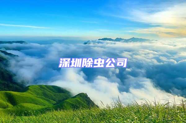 深圳除蟲公司